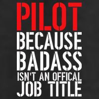 Pilot Official Job Title Hat