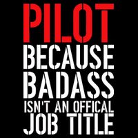 Pilot Official Job Title Wool Snapback Cap