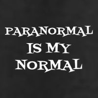 Paranormal Is My Normal Ghost Hunting Garment-Dyed Fleece Hoodie