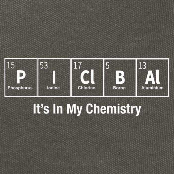 Pickleball In My Chemistry Funny Cotton Canvas Backpack