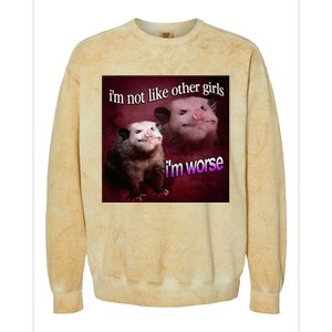 Possum I’M Not Like Other Girl I’M Worse Colorblast Crewneck Sweatshirt