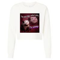 Possum I’M Not Like Other Girl I’M Worse Cropped Pullover Crew