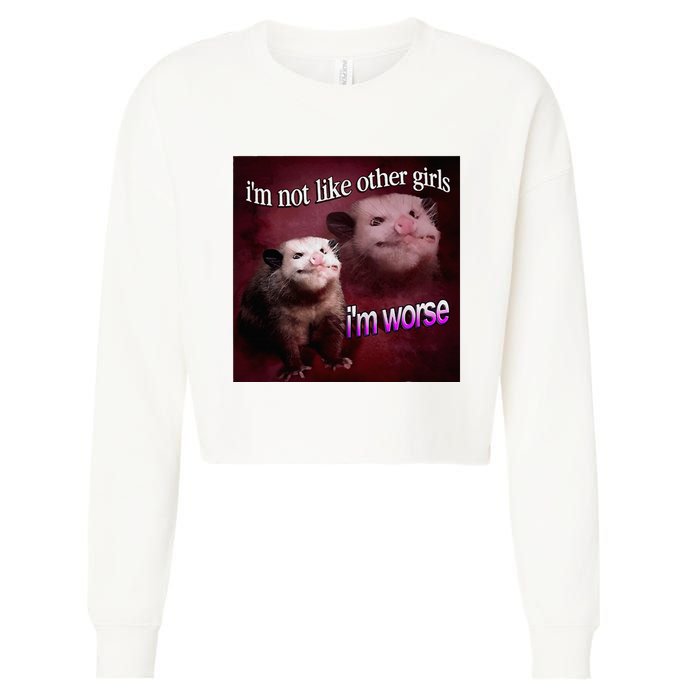 Possum I’M Not Like Other Girl I’M Worse Cropped Pullover Crew