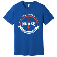 Profession Is Nurse Passion Is Fishing Funny Nursing Humor Gift Premium T-Shirt