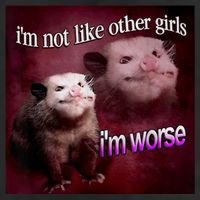 Possum I’m Not Like Other I’m Worse 15oz Campfire Ceramic Mug