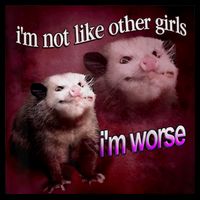 Possum I’m Not Like Other I’m Worse Crop Top