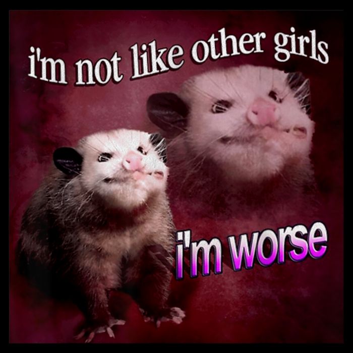 Possum I’m Not Like Other I’m Worse Crop Top