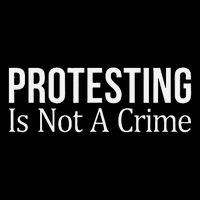 Protesting Is Not A Crime - Wool Snapback Cap
