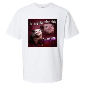 Possum I’M Not Like Other Girl I’M Worse Sueded Cloud Jersey T-Shirt