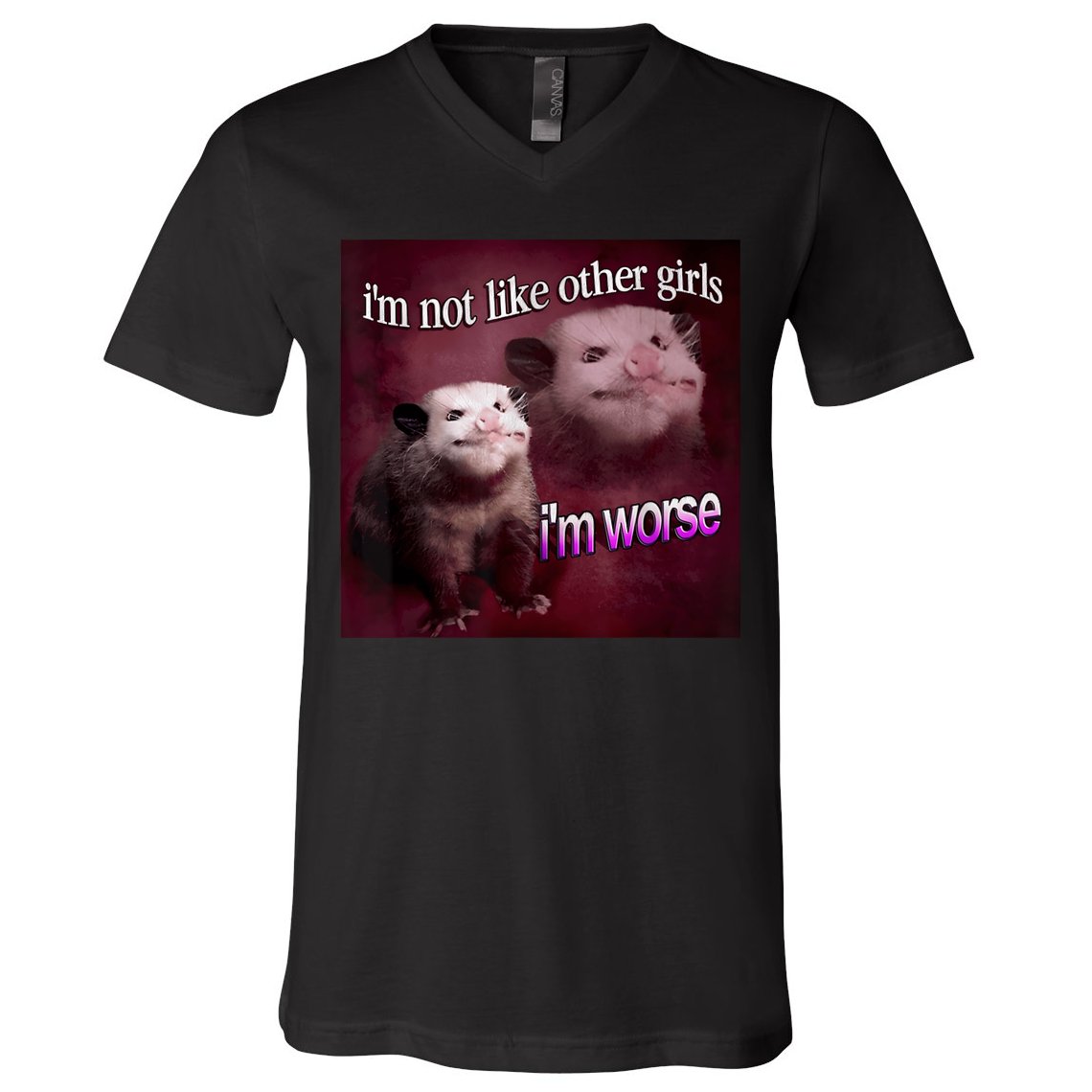 Possum I’m Not Like Other Girl I’m Worse V-Neck T-Shirt