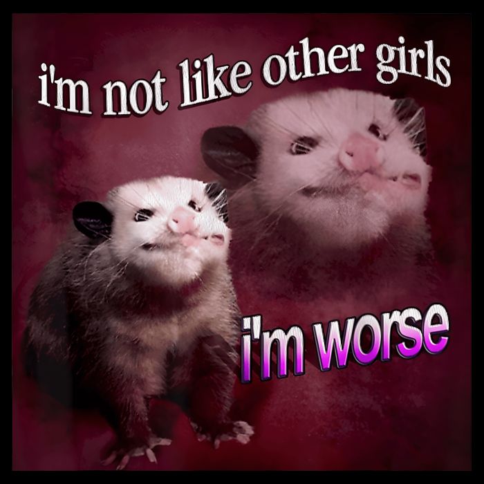 Possum I’m Not Like Other Girl I’m Worse Button