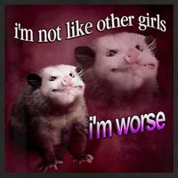 Possum I’m Not Like Other Girl I’m Worse 15oz Campfire Ceramic Mug