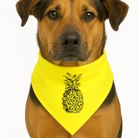 Simple Pineapple USA-Made Doggie Bandana