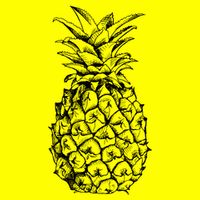 Simple Pineapple USA-Made Doggie Bandana