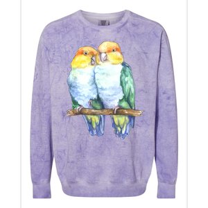 Pineapple Conure Watercolor Bird Colorblast Crewneck Sweatshirt