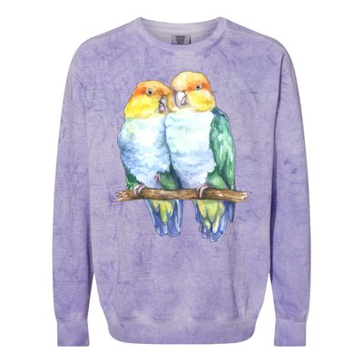 Pineapple Conure Watercolor Bird Colorblast Crewneck Sweatshirt