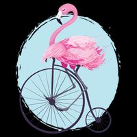 Pink Flamingo On Tall Bicycle Retro Hoodie