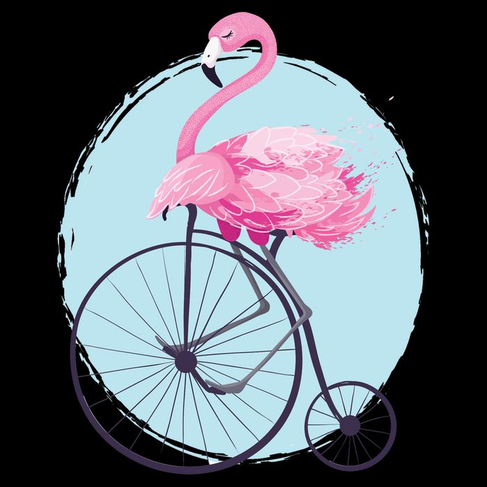 Pink Flamingo On Tall Bicycle Retro Hoodie