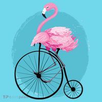 Pink Flamingo On Tall Bicycle Retro Womens T-Shirt