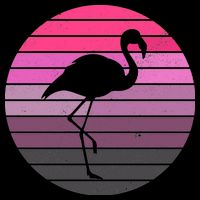 Pink Flamingo Vintage Sunset Hoodie