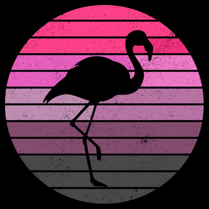 Pink Flamingo Vintage Sunset Hoodie