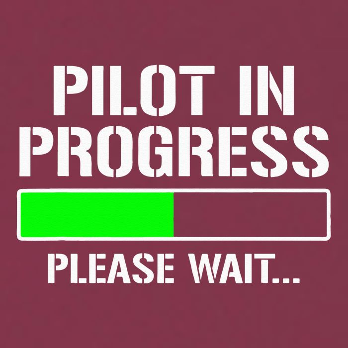 Pilot In Progress Funny Flight School Student 16oz Travel Tumbler