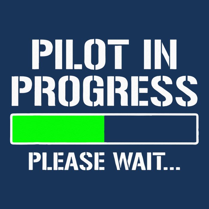 Pilot In Progress Funny Flight School Student Infant Baby Jersey Bodysuit