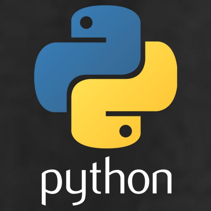 Python Interpreted Programming Language For Software Coders Gift Adult Drive Performance Visor
