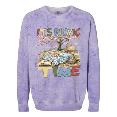 Picnics ItS Picnic Time Picnic Basket For Family Picnic Fun Gift Colorblast Crewneck Sweatshirt