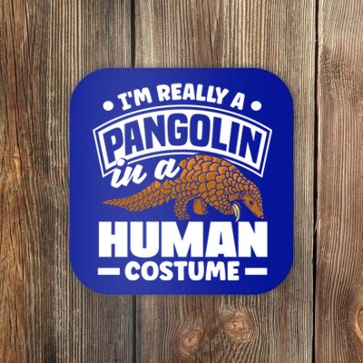 Pangolin Im Really A Pangolin In A Hu Costume Funny Gift Coaster