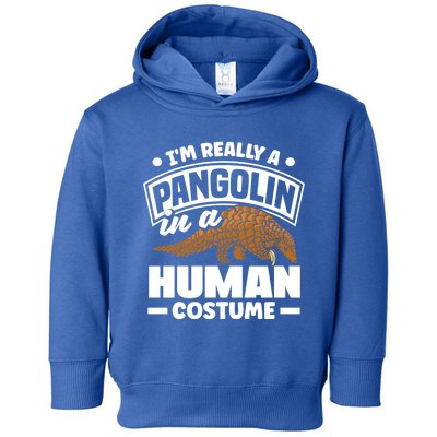 Pangolin Im Really A Pangolin In A Hu Costume Funny Gift Toddler Hoodie