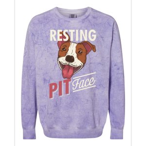 Pitbull Item Resting Pit Face Gift Colorblast Crewneck Sweatshirt