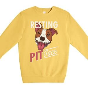 Pitbull Item Resting Pit Face Gift Premium Crewneck Sweatshirt