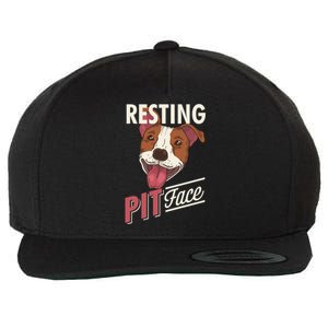 Pitbull Item Resting Pit Face Gift Wool Snapback Cap