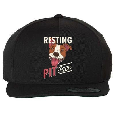 Pitbull Item Resting Pit Face Gift Wool Snapback Cap