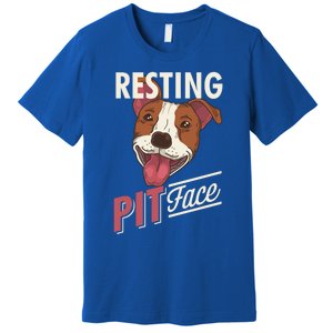 Pitbull Item Resting Pit Face Gift Premium T-Shirt