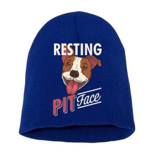 Pitbull Item Resting Pit Face Gift Short Acrylic Beanie