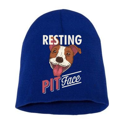 Pitbull Item Resting Pit Face Gift Short Acrylic Beanie