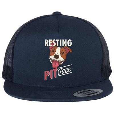 Pitbull Item Resting Pit Face Gift Flat Bill Trucker Hat