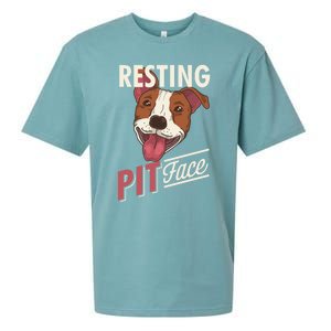 Pitbull Item Resting Pit Face Gift Sueded Cloud Jersey T-Shirt