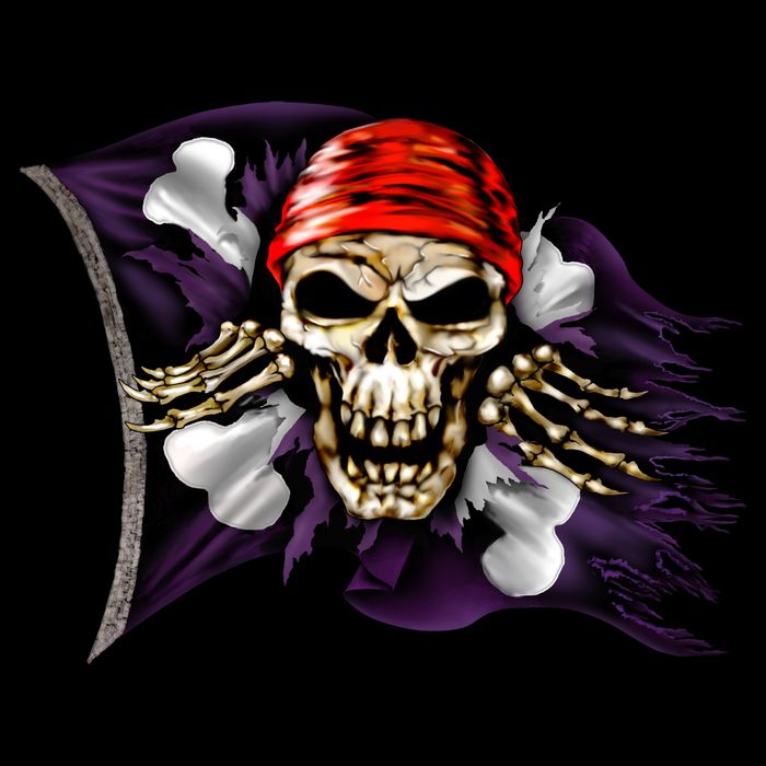 Pirate Skull Flag Wool Snapback Cap