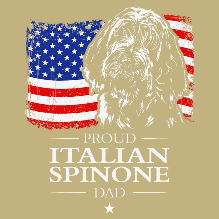 Proud Italian Spinone Dad American Flag Patriotic Dog Gift Hoodie