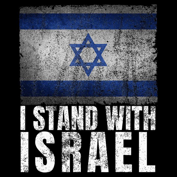 Pro Israel Supporter I Stand With Israel Patriotic USA Flag Flatbill Hat