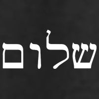 Peace Israeli Style Shalom Hebrew Calligraphy Shabbat Shalom 7 Panel Mesh Trucker Snapback Hat