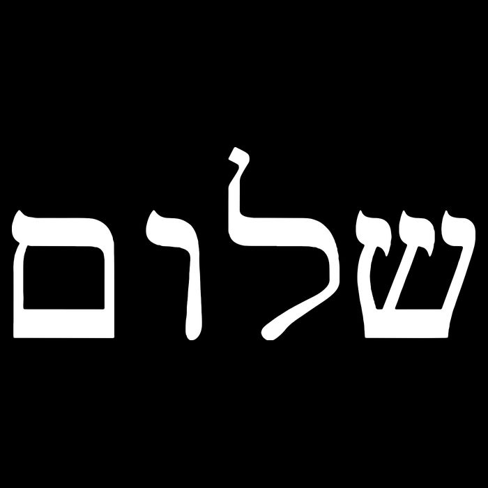 Peace Israeli Style Shalom Hebrew Calligraphy Shabbat Shalom Flexfit Unipanel Trucker Cap