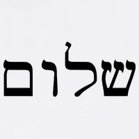 Peace Israeli Style Shalom Hebrew Calligraphy Shabbat Shalom T-Shirt