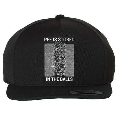 Pee Is Stored In The Balls Wool Snapback Cap