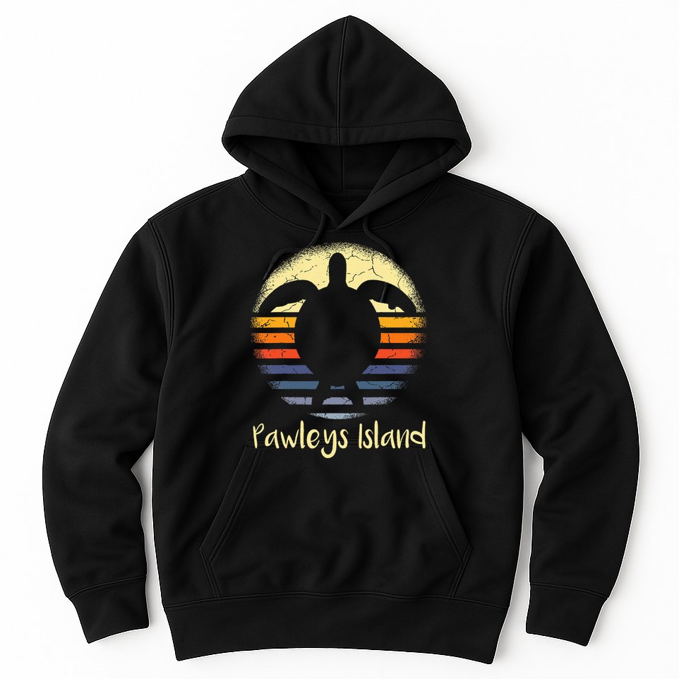 Pawleys Island South Carolina Sc Loggerhead Sea Turtle Lover Hoodie