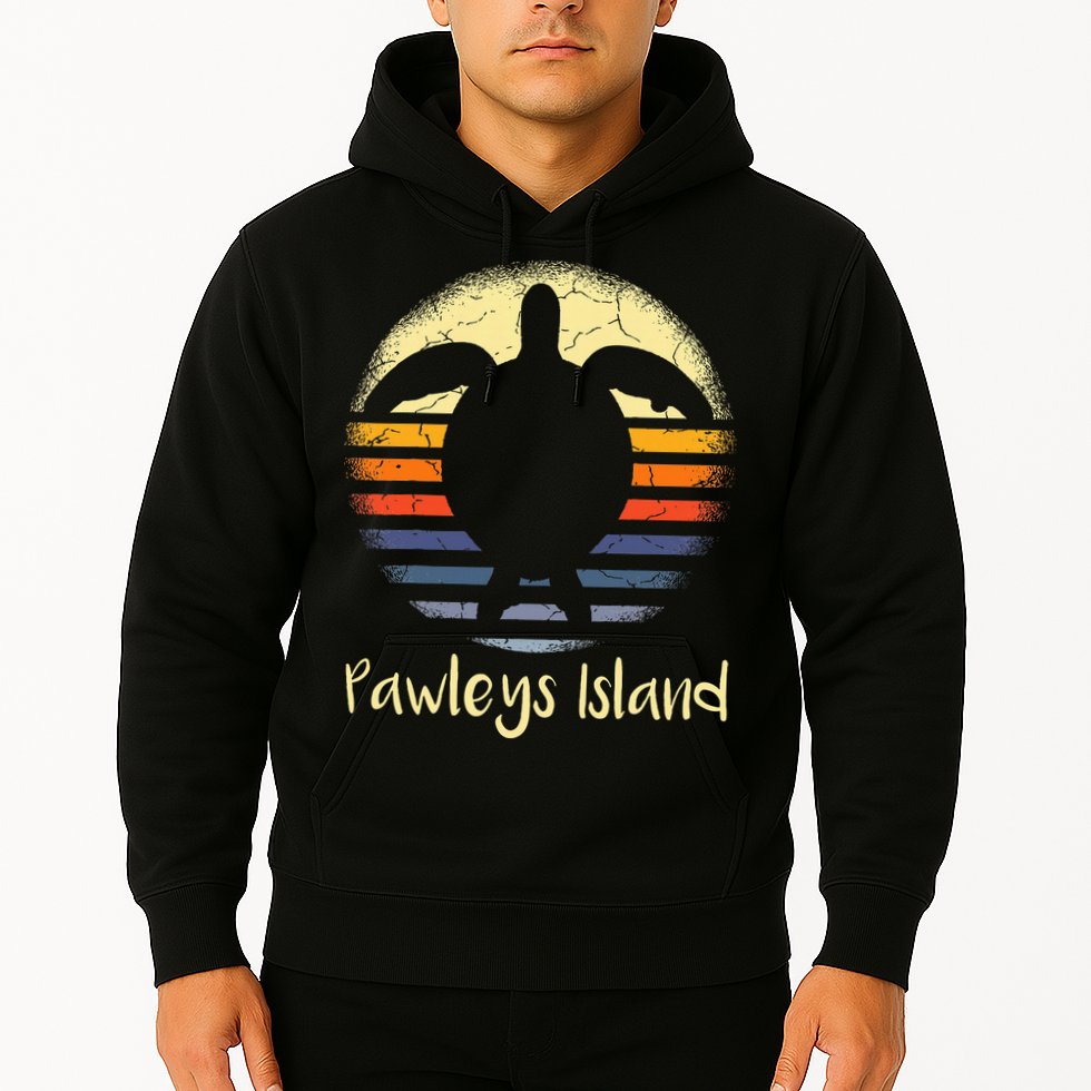 Pawleys Island South Carolina Sc Loggerhead Sea Turtle Lover Hoodie