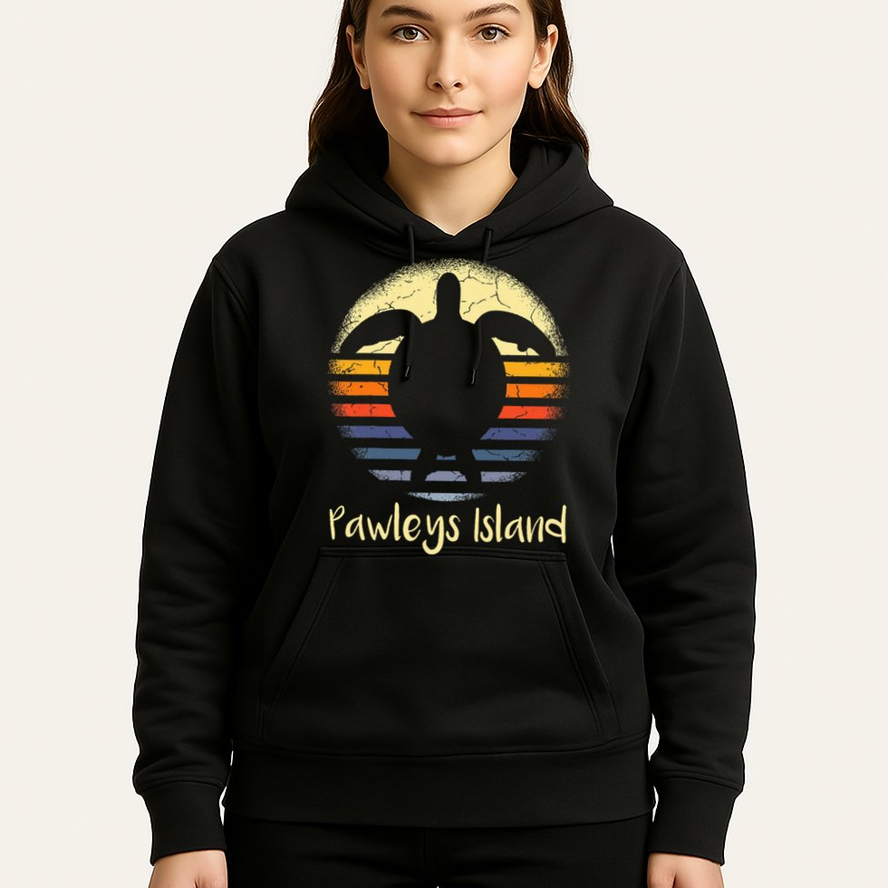Pawleys Island South Carolina Sc Loggerhead Sea Turtle Lover Hoodie